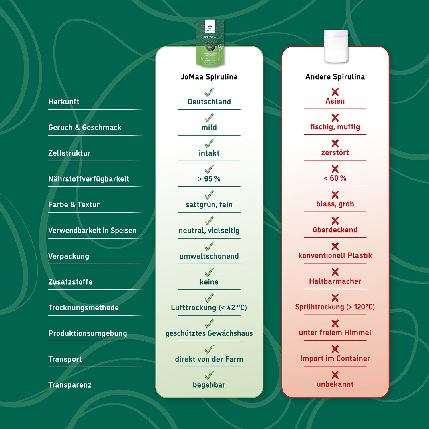Spirulina - Nudeln