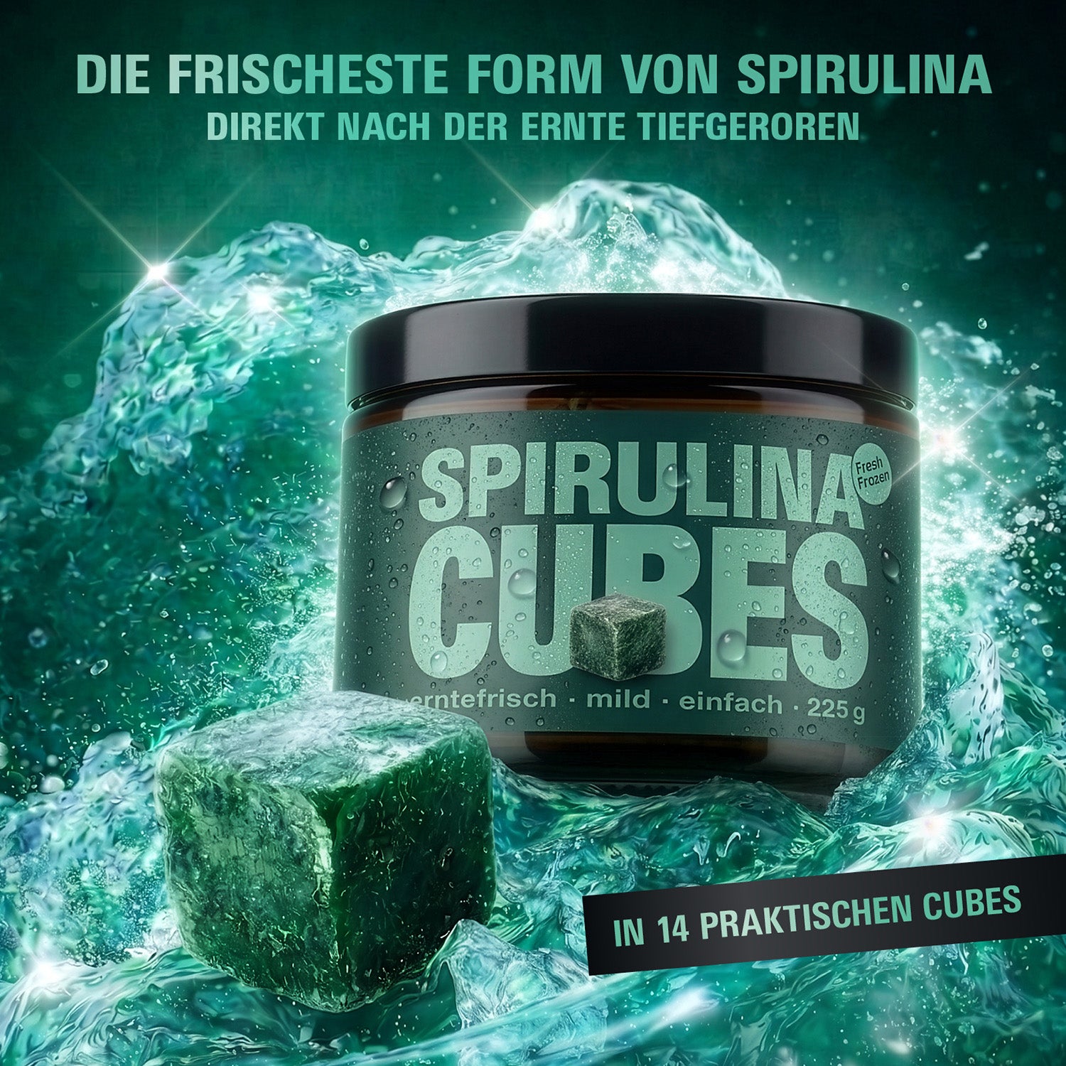 Spirulina Cubes