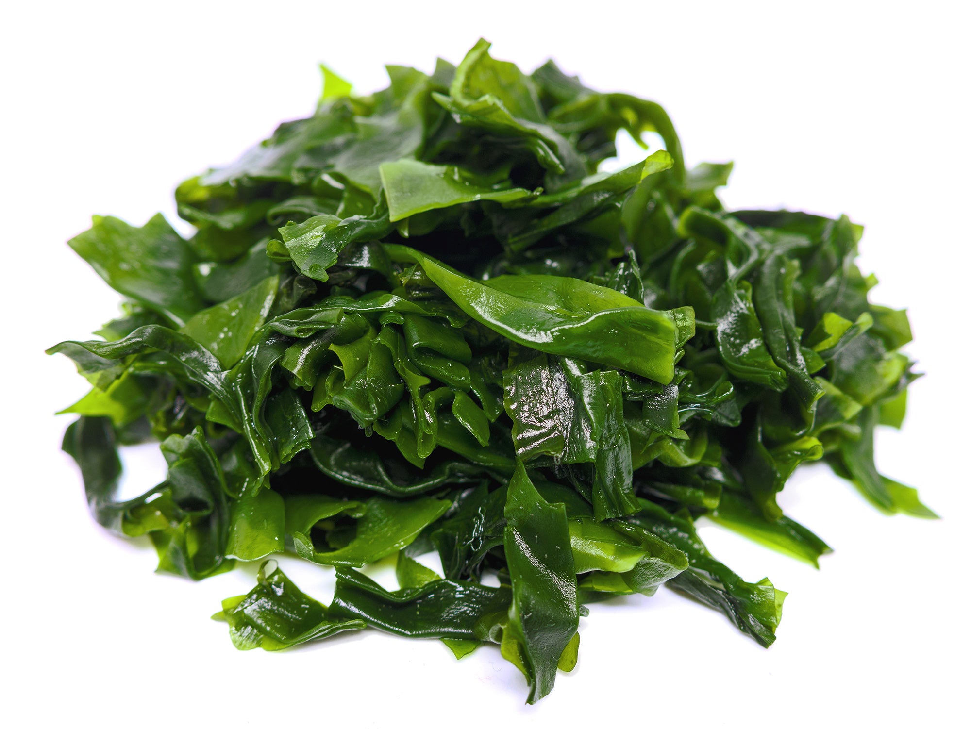 Allgemeinwissen JoMaa